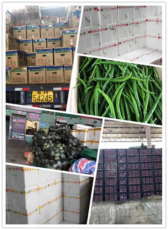 首页| 402cc永利集团中国区官方网站