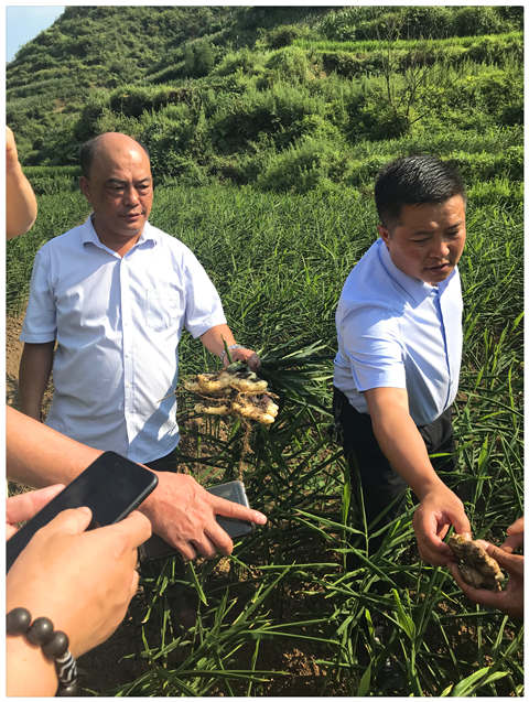 首页| 402cc永利集团中国区官方网站