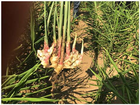 首页| 402cc永利集团中国区官方网站