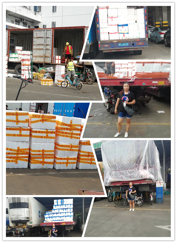 首页| 402cc永利集团中国区官方网站