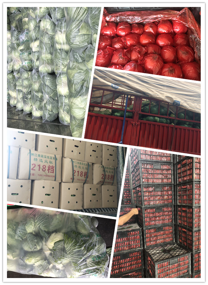 首页| 402cc永利集团中国区官方网站