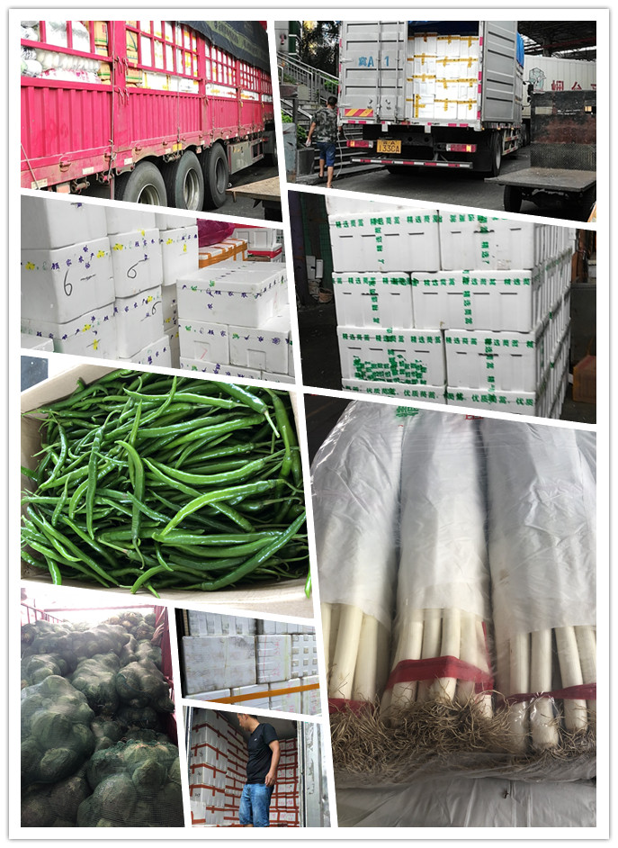 首页| 402cc永利集团中国区官方网站