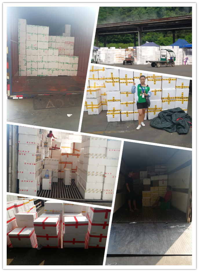 首页| 402cc永利集团中国区官方网站