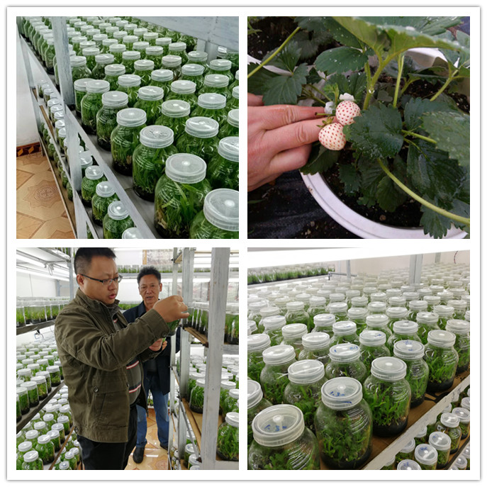 首页| 402cc永利集团中国区官方网站