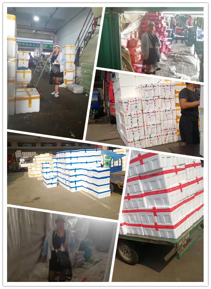 首页| 402cc永利集团中国区官方网站