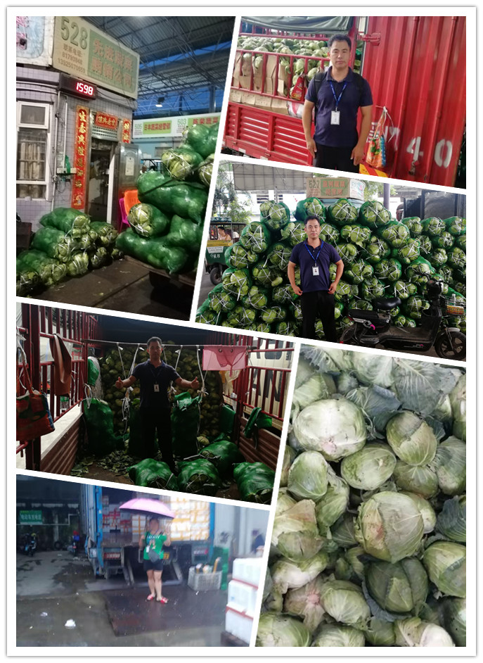 首页| 402cc永利集团中国区官方网站