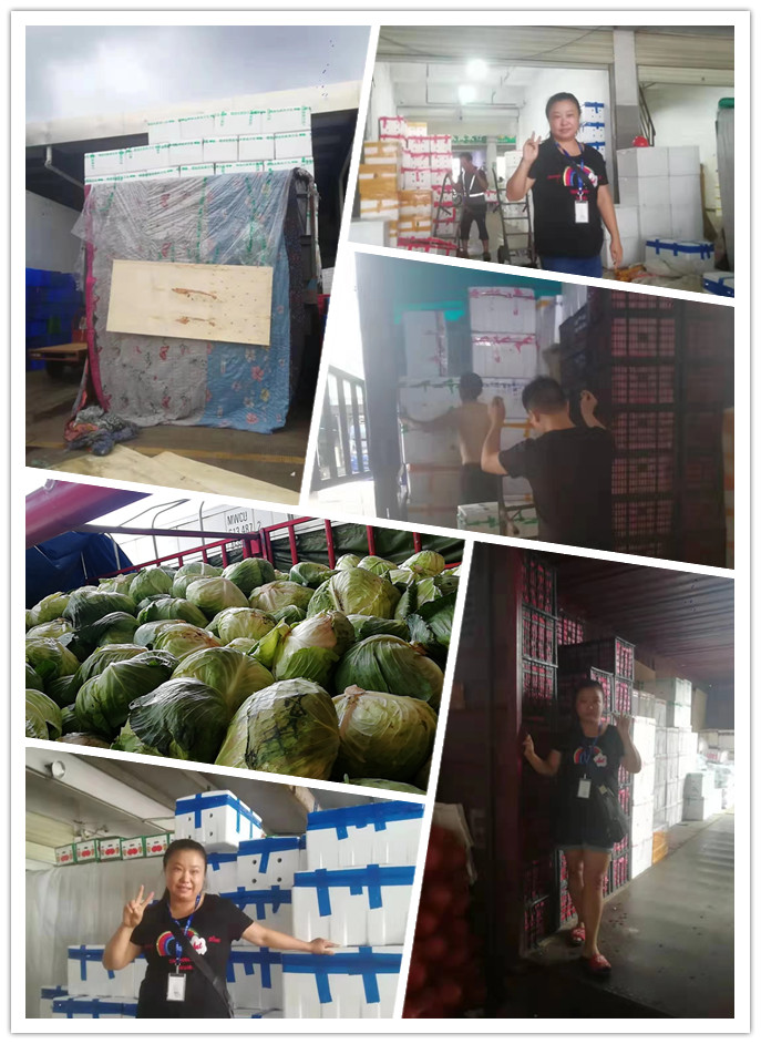 首页| 402cc永利集团中国区官方网站