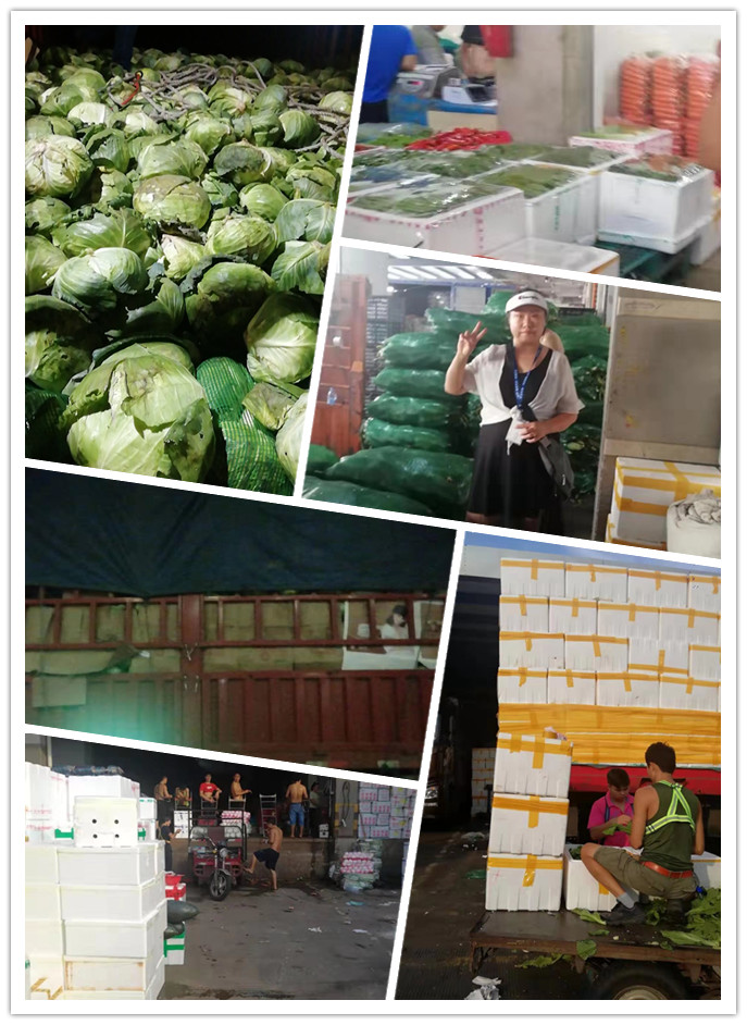 首页| 402cc永利集团中国区官方网站