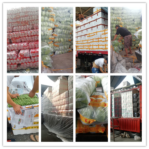 首页| 402cc永利集团中国区官方网站