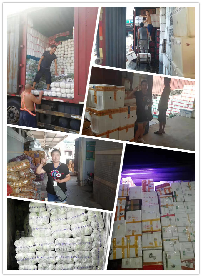 首页| 402cc永利集团中国区官方网站