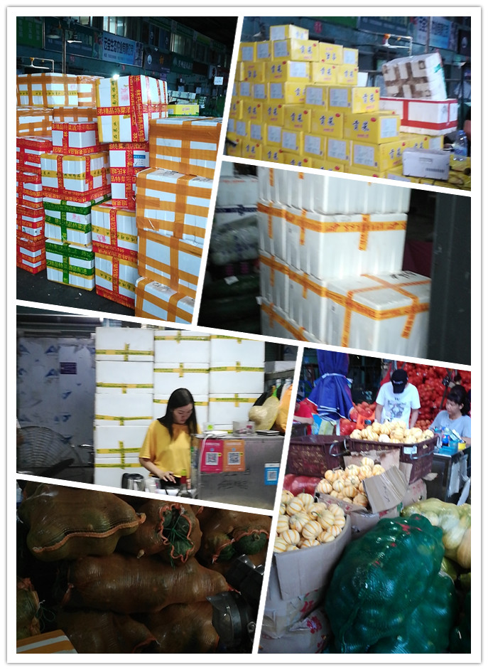 首页| 402cc永利集团中国区官方网站