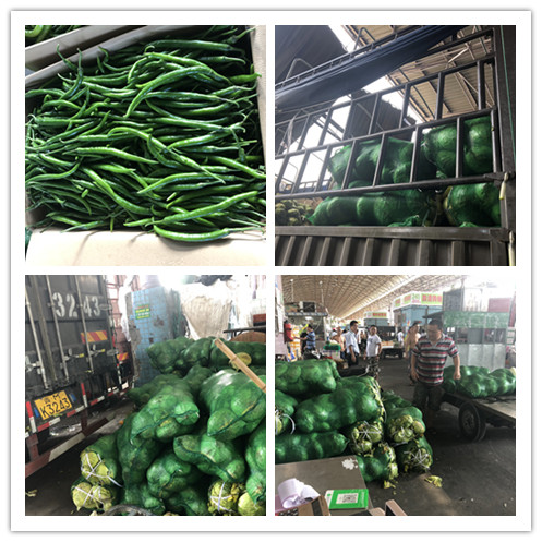 首页| 402cc永利集团中国区官方网站