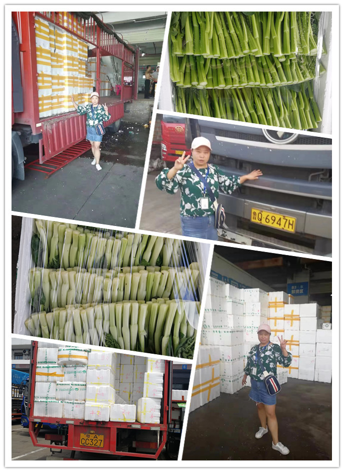 首页| 402cc永利集团中国区官方网站