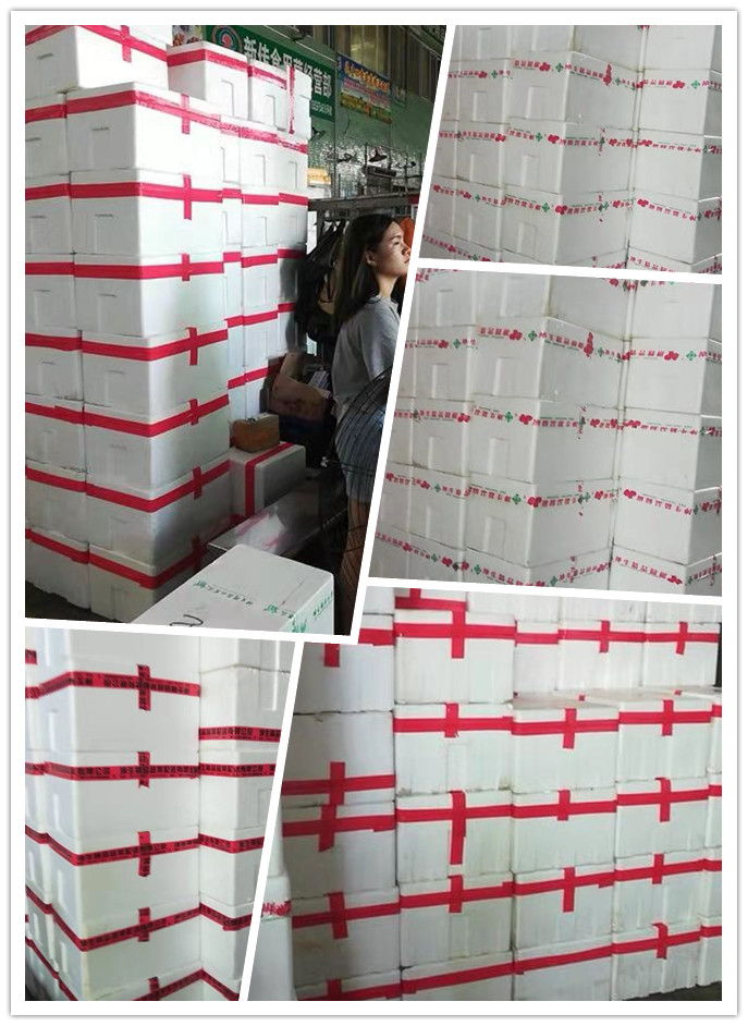 首页| 402cc永利集团中国区官方网站