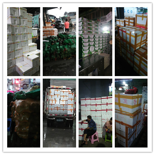 首页| 402cc永利集团中国区官方网站