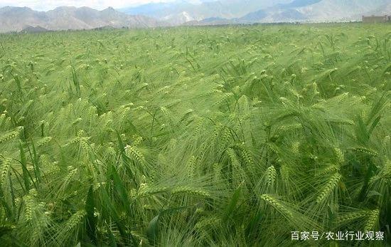 首页| 402cc永利集团中国区官方网站