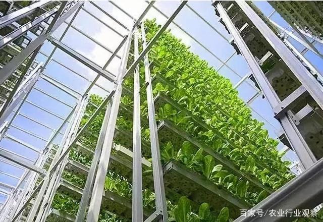 首页| 402cc永利集团中国区官方网站