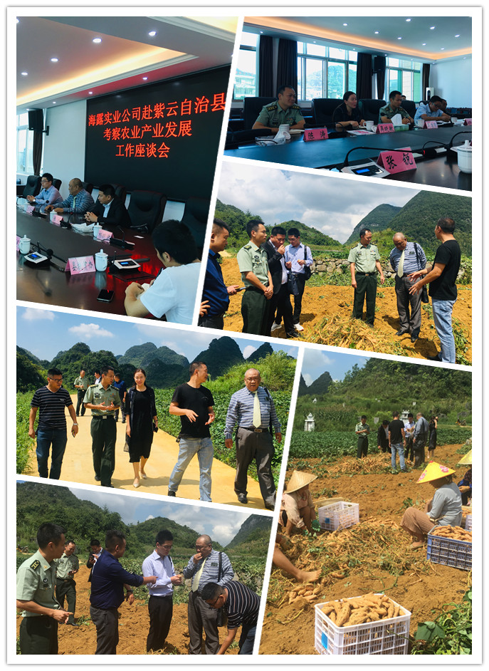 首页| 402cc永利集团中国区官方网站