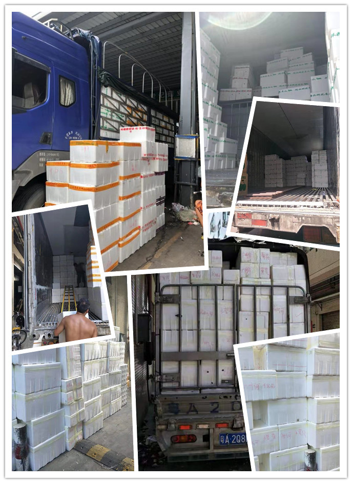 首页| 402cc永利集团中国区官方网站