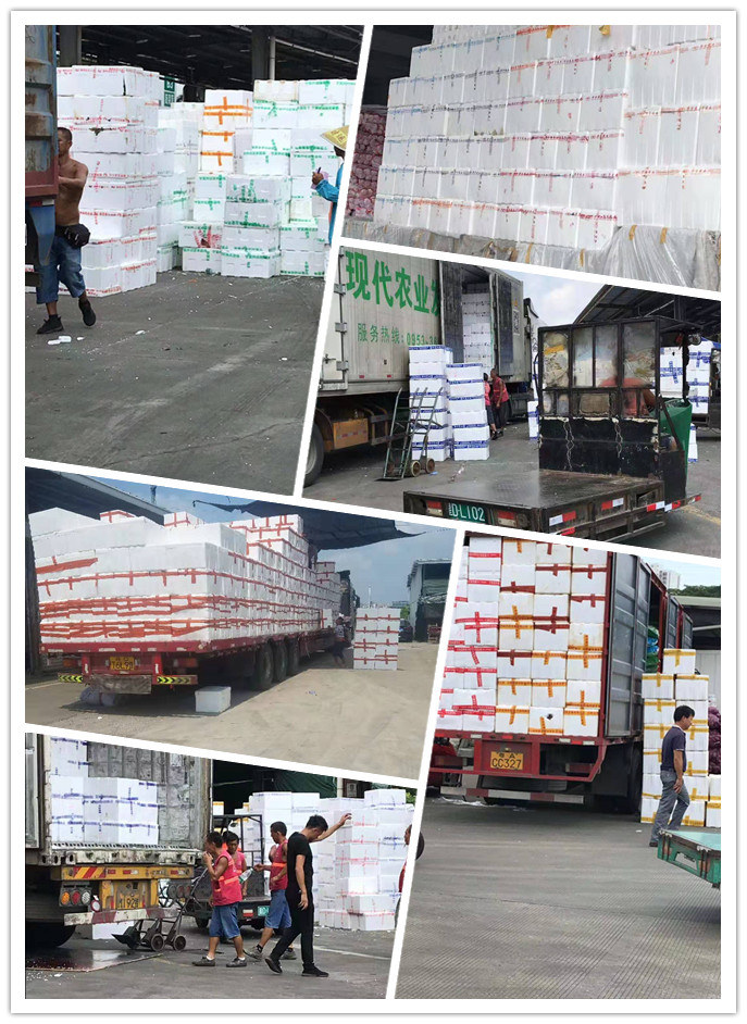 首页| 402cc永利集团中国区官方网站