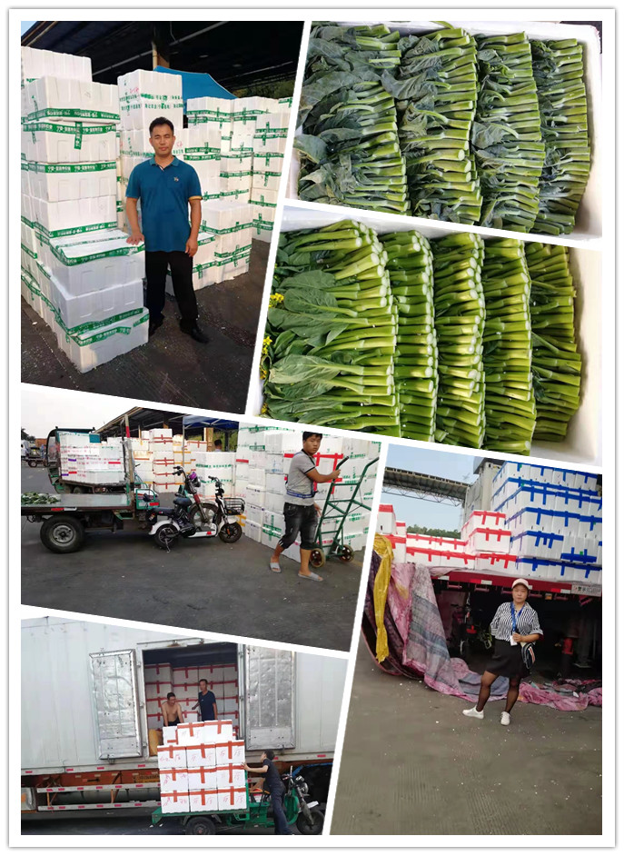 首页| 402cc永利集团中国区官方网站