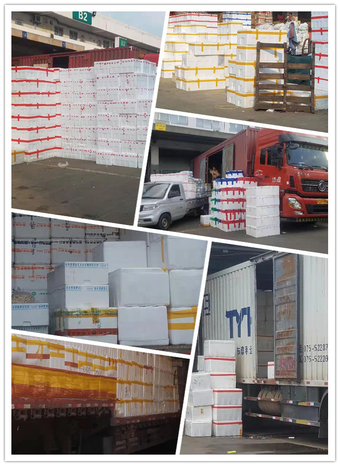 首页| 402cc永利集团中国区官方网站