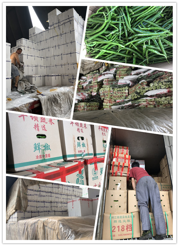 首页| 402cc永利集团中国区官方网站