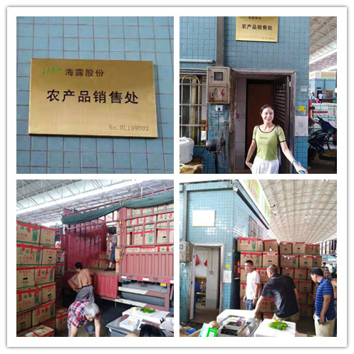 首页| 402cc永利集团中国区官方网站