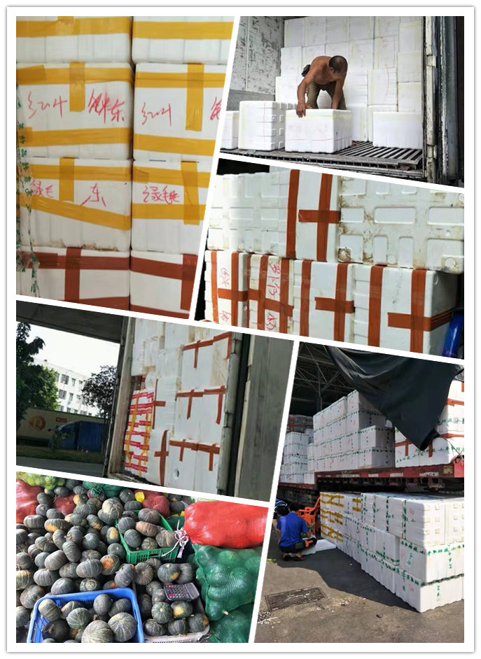 首页| 402cc永利集团中国区官方网站