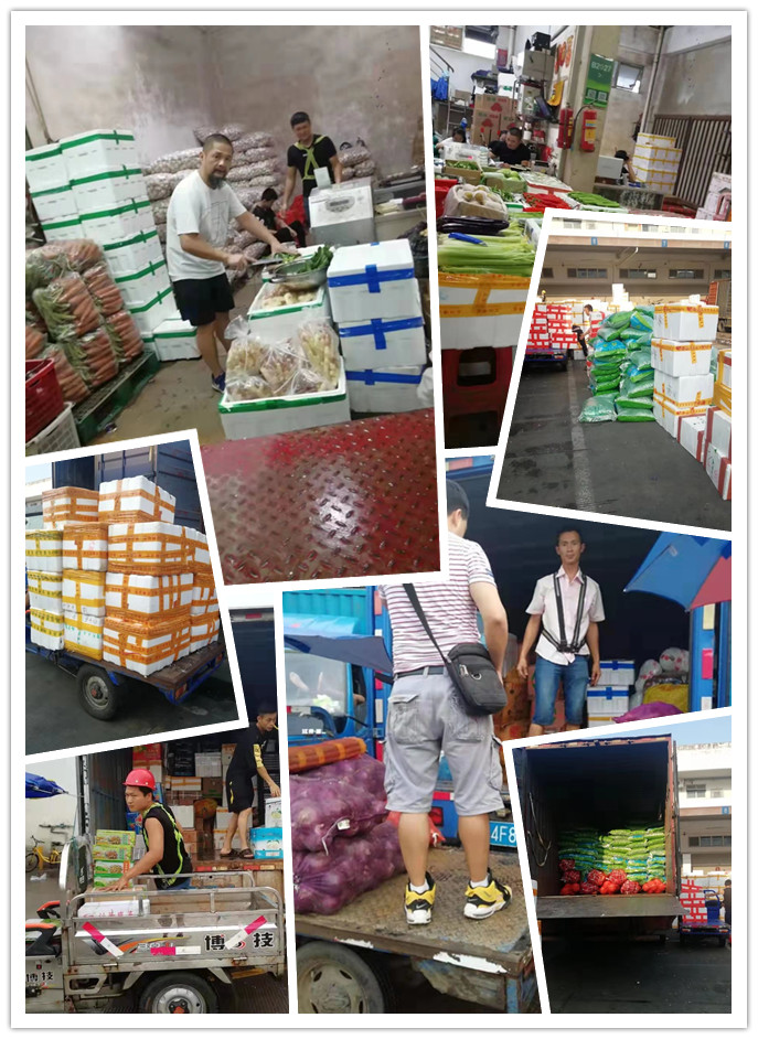 首页| 402cc永利集团中国区官方网站