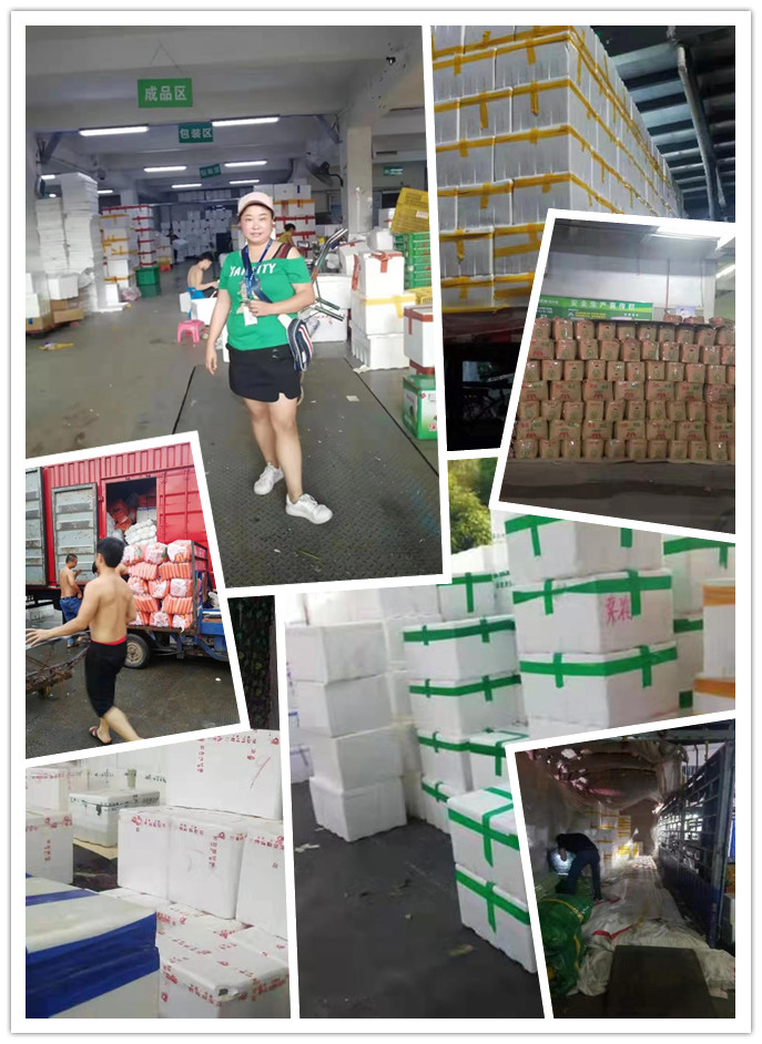 首页| 402cc永利集团中国区官方网站