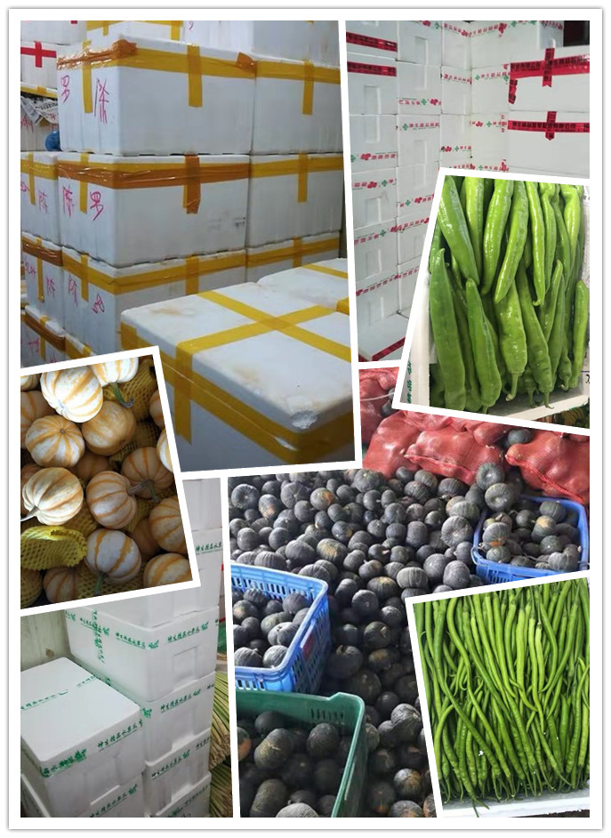 首页| 402cc永利集团中国区官方网站