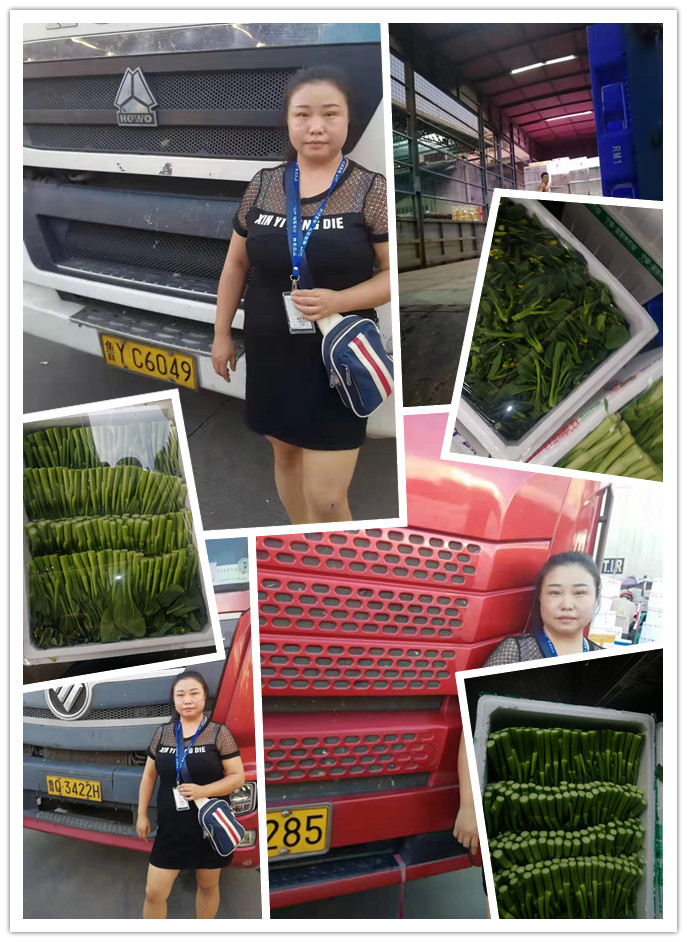 首页| 402cc永利集团中国区官方网站