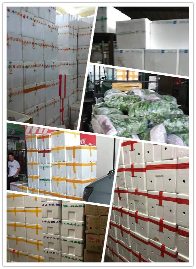 首页| 402cc永利集团中国区官方网站