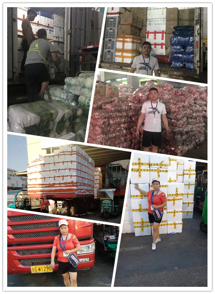 首页| 402cc永利集团中国区官方网站