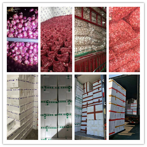 首页| 402cc永利集团中国区官方网站