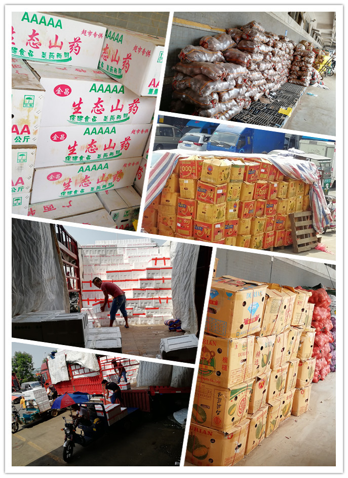 首页| 402cc永利集团中国区官方网站