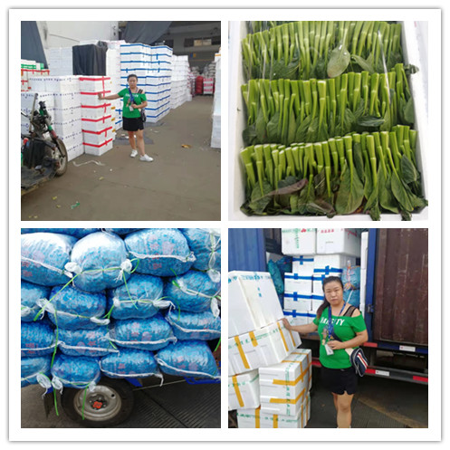 首页| 402cc永利集团中国区官方网站