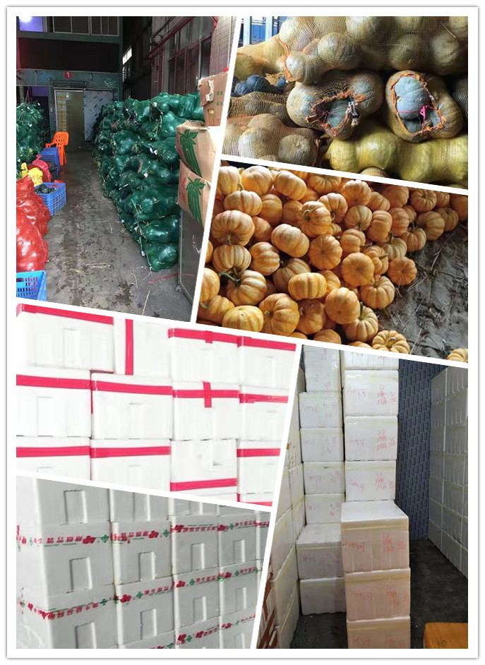 首页| 402cc永利集团中国区官方网站