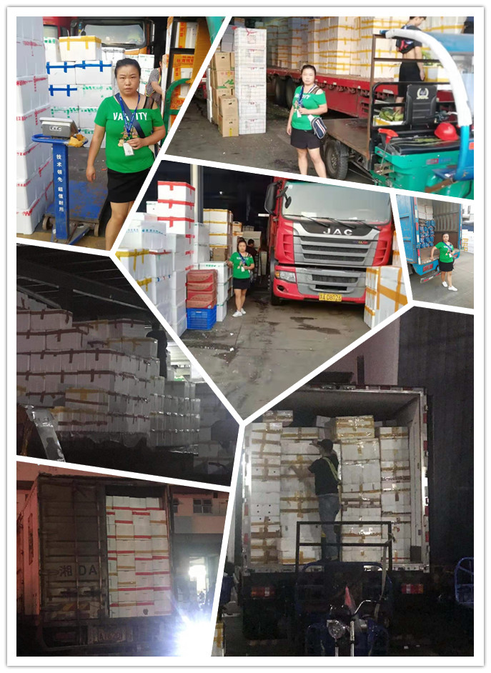 首页| 402cc永利集团中国区官方网站