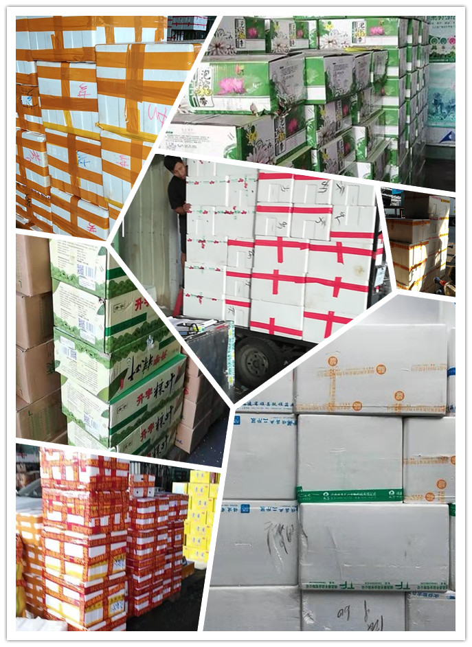 首页| 402cc永利集团中国区官方网站