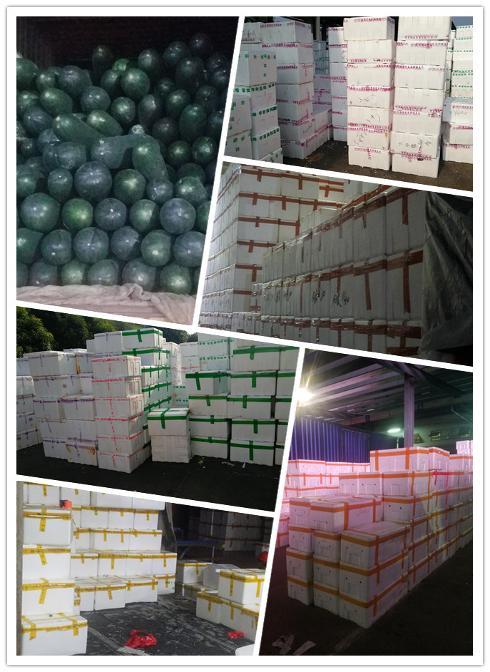 首页| 402cc永利集团中国区官方网站