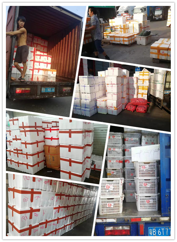 首页| 402cc永利集团中国区官方网站