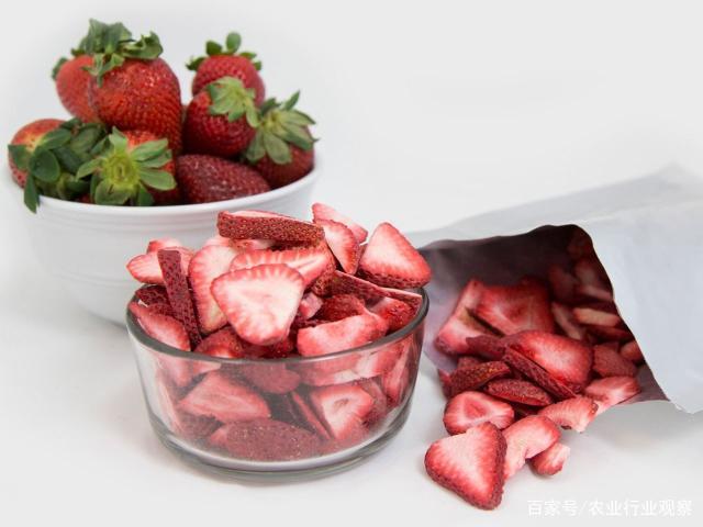 首页| 402cc永利集团中国区官方网站