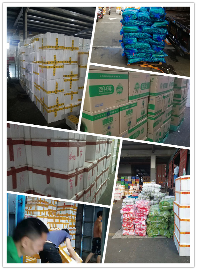 首页| 402cc永利集团中国区官方网站