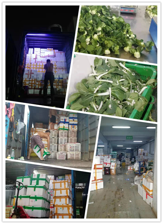 首页| 402cc永利集团中国区官方网站