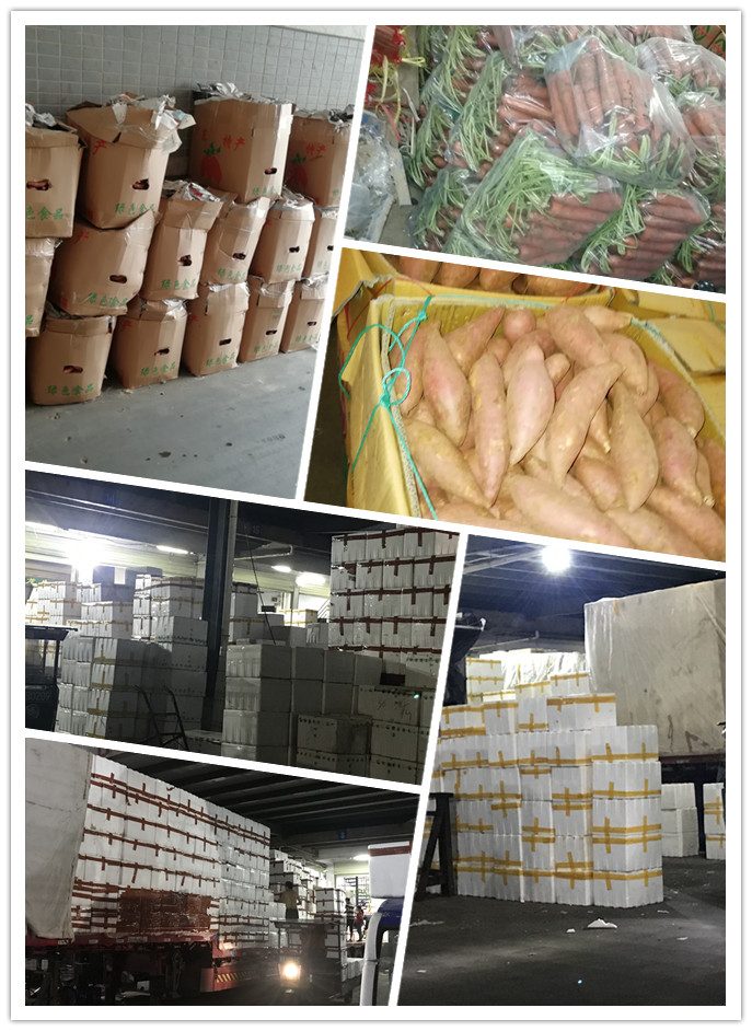 首页| 402cc永利集团中国区官方网站