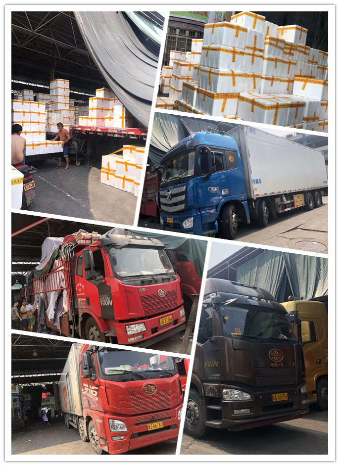 首页| 402cc永利集团中国区官方网站