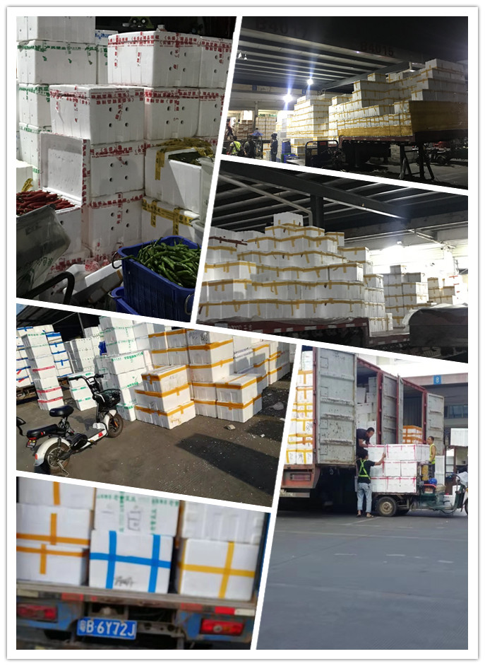 首页| 402cc永利集团中国区官方网站