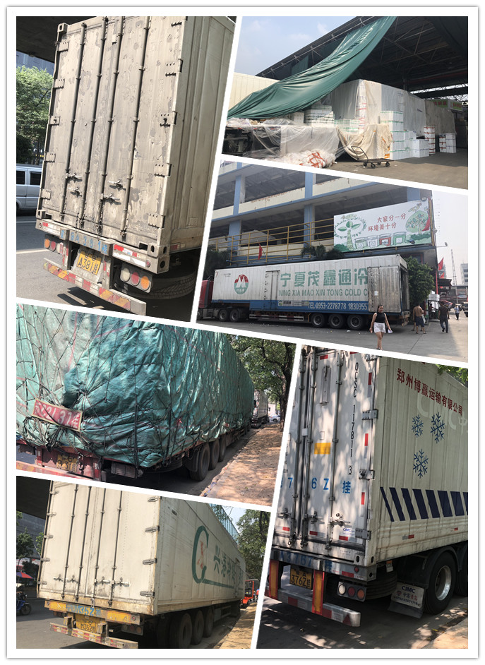 首页| 402cc永利集团中国区官方网站